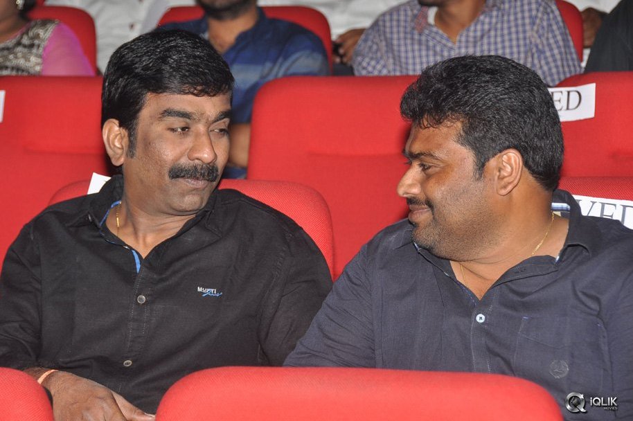 Temper-Movie-Audio-Launch